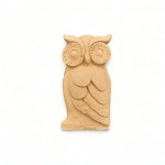 Owls (6)