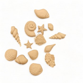 Wood Carved Decorative Shell set of 14 Pieces