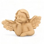 Angels (29)